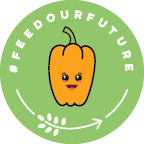 Load image into Gallery viewer, Standard:  Flavorful Fall Bundle Grades 6-12