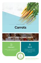 Load image into Gallery viewer, Standard: Annual Bundle Grades 6-12
