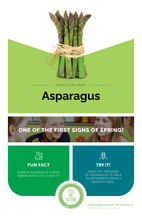 Load image into Gallery viewer, Standard:  Scrumptious Spring Bundle Grades 6-12