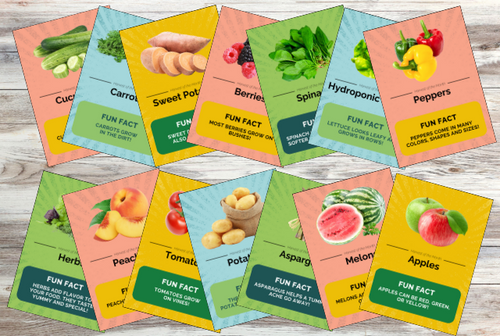 Harvest of the Month Flashcards - ECE
