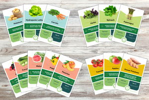 Harvest of the Month Posters - ECE